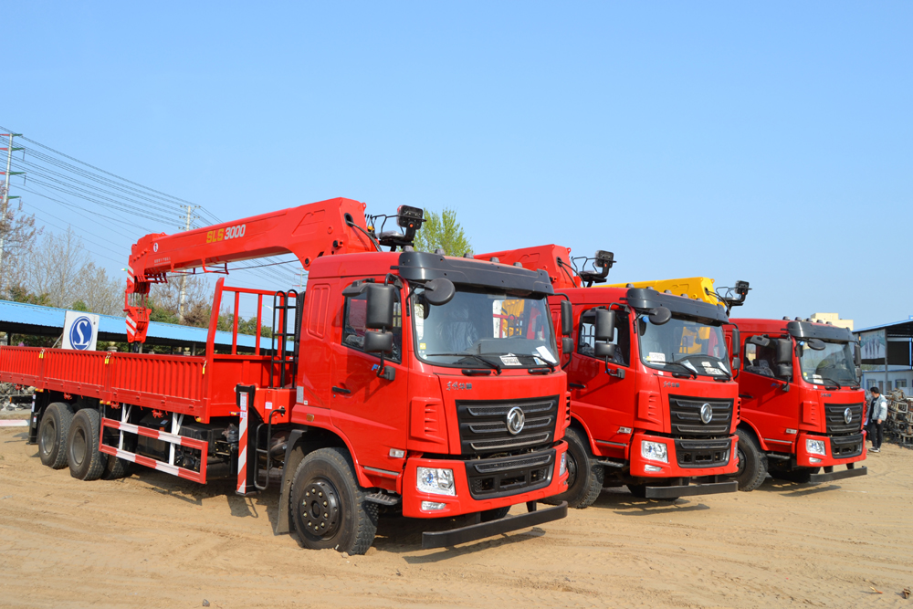 truck mounted crane (3)