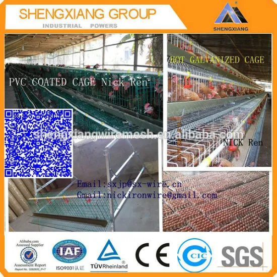 hot sales layer battery cage 20 years lifetime with Auto water system