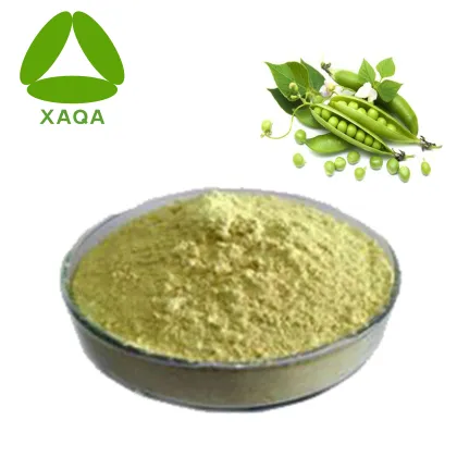 Plant Extract Non-GMO Pea Protein Powder