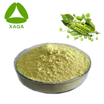 Plant Extract Non-GMO Pea Protein Powder