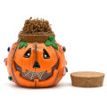 Devil Pumpkin Glass Storage Jar