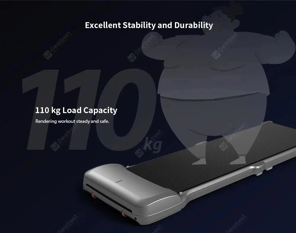 Kingsmith Treadmill