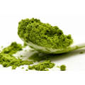 Green Tea Extract with 98 Polyphenols