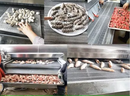 High Quality Tunnel Liquid Nitrogen Quick Freezing Machine - Price