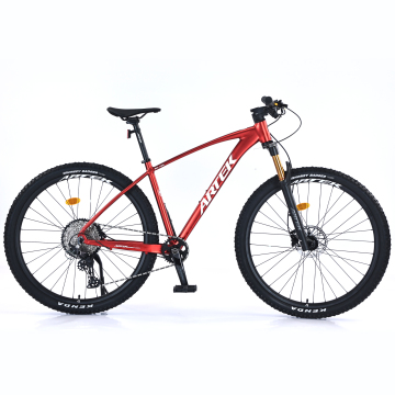ARTEK 27.5 Inch 1*12 Speed Alloy Frame Mountain Bike MT-200 with Hydraulic Disc Brakes