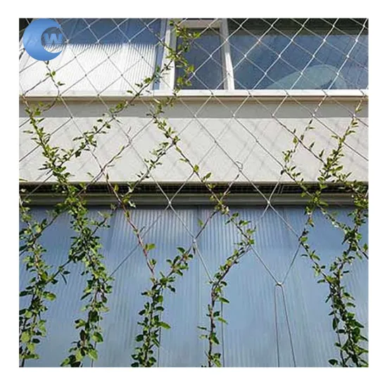 Factory Sale Metal Rope Mesh Climber - Garden Plant Trellis Mesh SS Wire Rope Netting