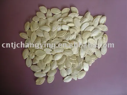 shine pumpkin seeds