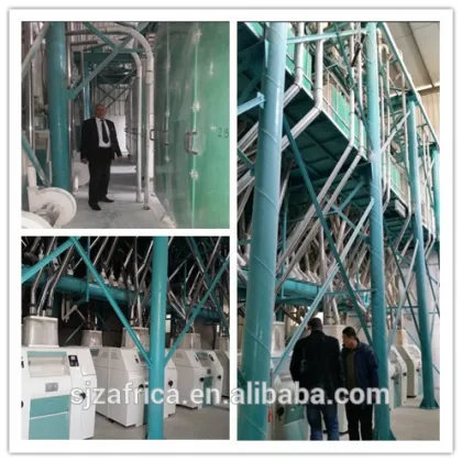 Latin America maize grits maize meal maize flour making machine
