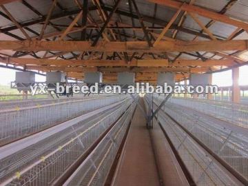 poultry breeding cage