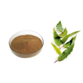 Food Grade Plant Extract eucalyptus extract