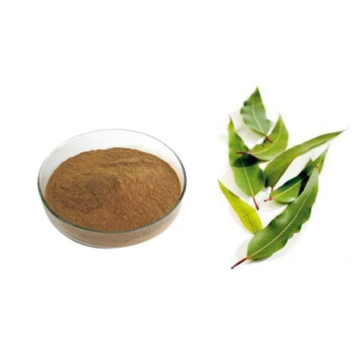 Food Grade Plant Extract eucalyptus extract