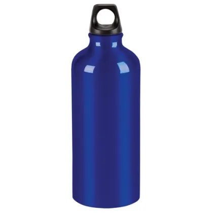 Trek Bottle - 20 oz