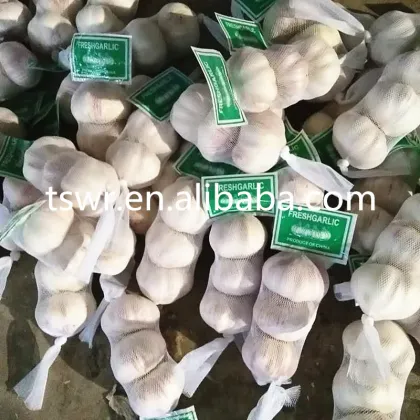 food grade china fresh garlic