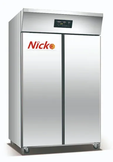 2 Trolleys Proofer Room Bakery Fermenting Machines Bread Dough Proofer