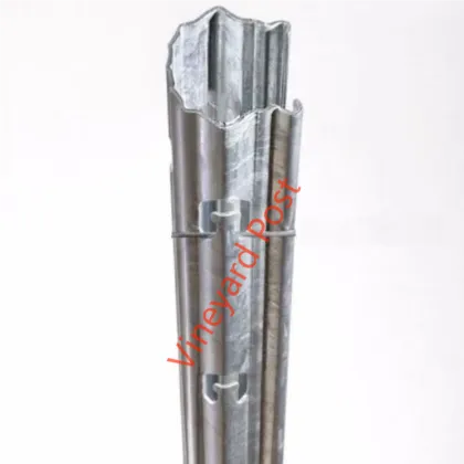 Cost-Effective Galvanized Vineyard Posts for Grape Vines