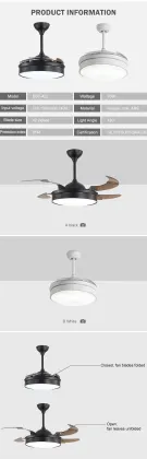 Electric fan chandelier imported simple ceiling fan
