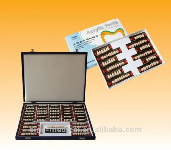 Two-Layer Synthetic Teeth