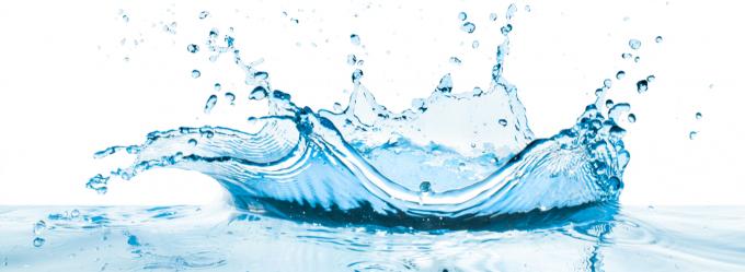 Eliminación del tratamiento con agua de bacala