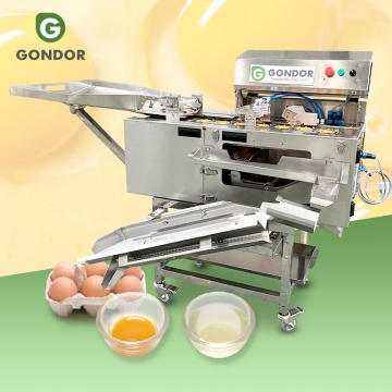 Industrial 304 Roestvrij stalen eidooier Seproductielijn Machine
