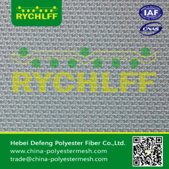 polyester screen forming / polyester forming fabrics for paper making/ paper making polyester forming fabrics