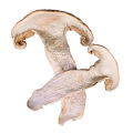 /msite/products/detail/productid/56385575/id/651414.html
