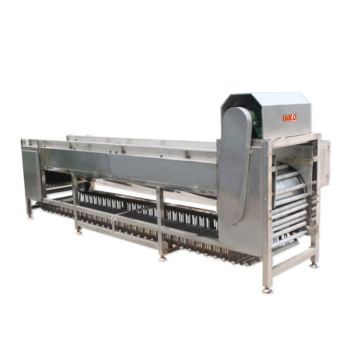 Machine de tri et de classement automatique à grande efficacité pour les oignons, les tomates, les pommes et les pommes de terre
