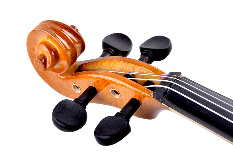 R 30 Violin Instrument