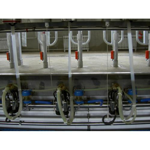 cow bulk milking parlors