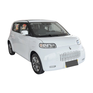 2023 Hot Sale ORA White Black Cat - 4-seater Mini Electric Vehicle
