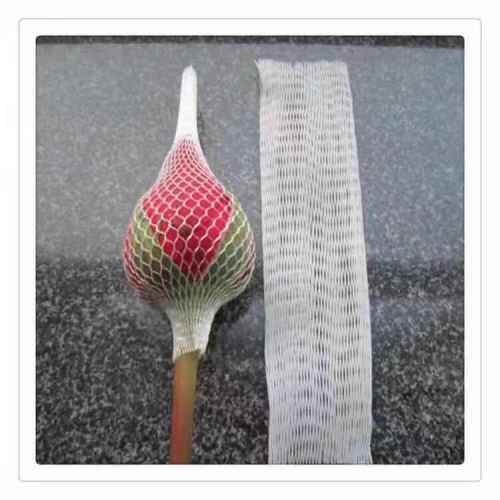 Good Quality white protective rose net set