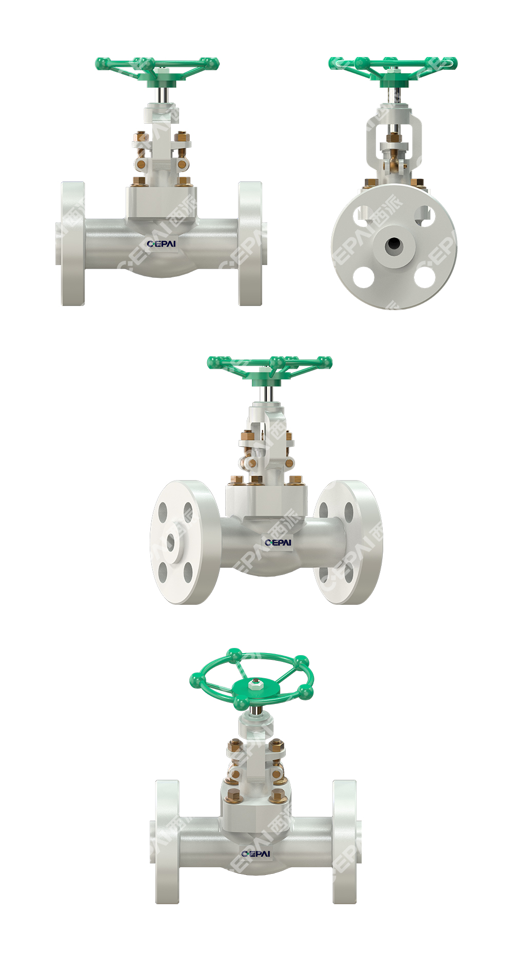 Forged Globe Valve011