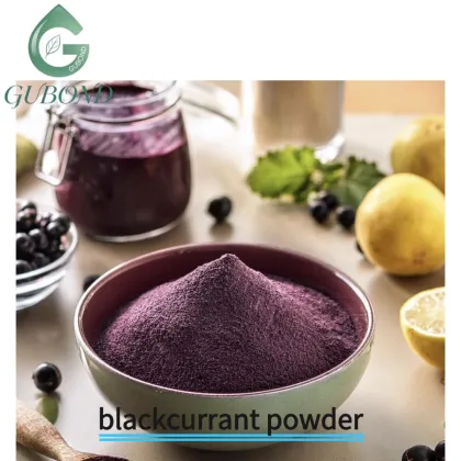 Blackcurrant Spray Dried Fruit Powder Anthocyanin Rich