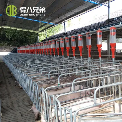 Pig Stall and Cage Solutions for Pig Farms