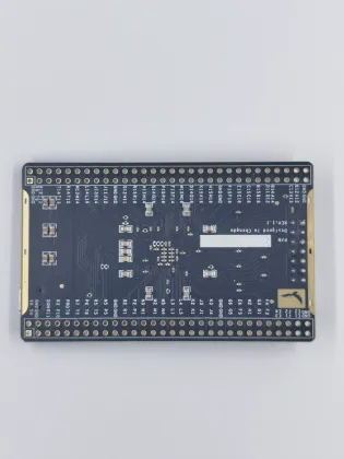 XILINX Spartan FPGA Development Boards with SDRAM Support