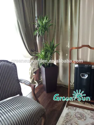 hydroponic systems home garden plant nursery pots