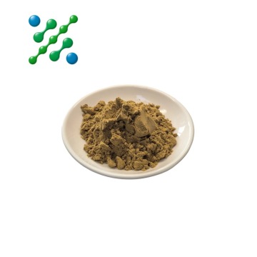 Pure Green Mussel Powder Ingredient