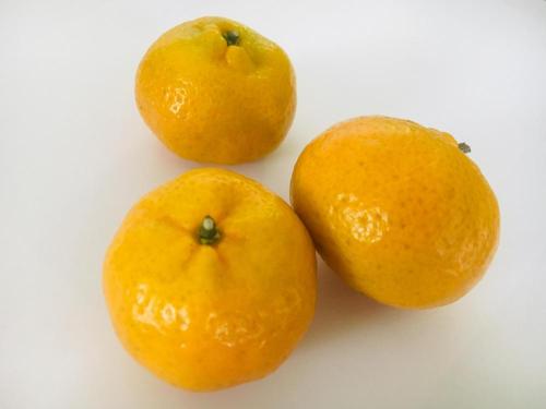 สุดยอด Nanfeng Baby Mandarin