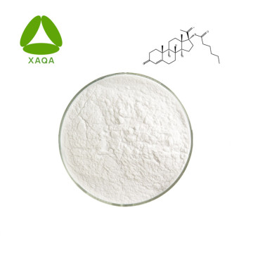 99% Hydroxyprogesterone Caproate Powder CAS NO 630-56-8