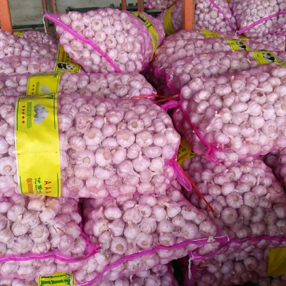 High Quality Gourmet Garlic Bulbs Price In Bulk 20kg Mesh Bag