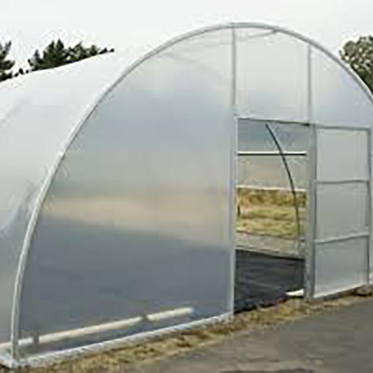 Strong Structure Agricultural Reinforced single Greenhouse