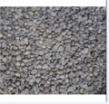 専門メーカーがアラビカグリーンコーヒー豆を供給