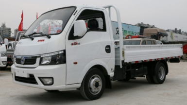 Gasoline 2 tons lorry truck 13