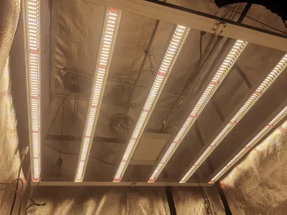 WENYI Efficacy Higher than Gavita LED Grow Lights