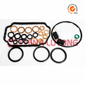 Repair Kit 1 417 010 059 Diesel Injection Seal Kit for Audi1