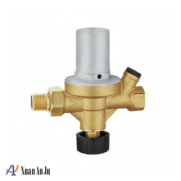 Automatic Brass Valve for Reliable Water Replenishment
