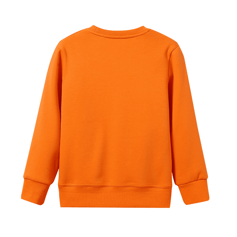 cheap custom organic pullover hoodies sweatshirt sweat shirt