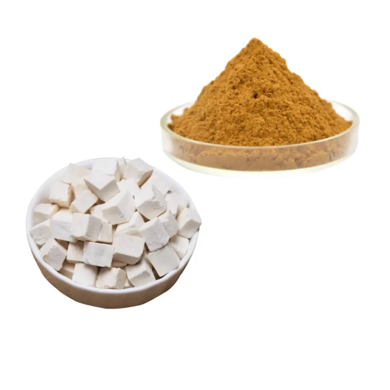 Organic Poria cocos Extract powder