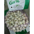 garlic powder conversion to fresh garlic