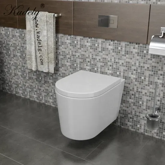 CE Standard Wall Hung Ceramic Toilet Set Round Bathroom Toilet Sanitary Ware

**Title:** Wall-Hung Ceramic Toilet with CE Standard