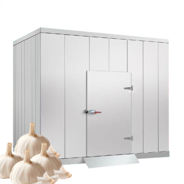 Cold Storage Solutions: Equipment for Ice Cream and Onion Preservation